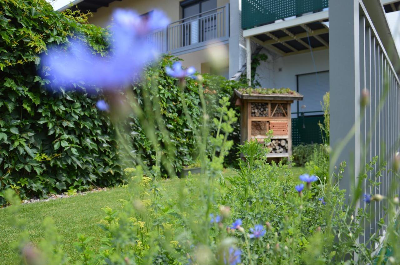Gaestehaus Schmidt Podersdorf am See Exterior foto